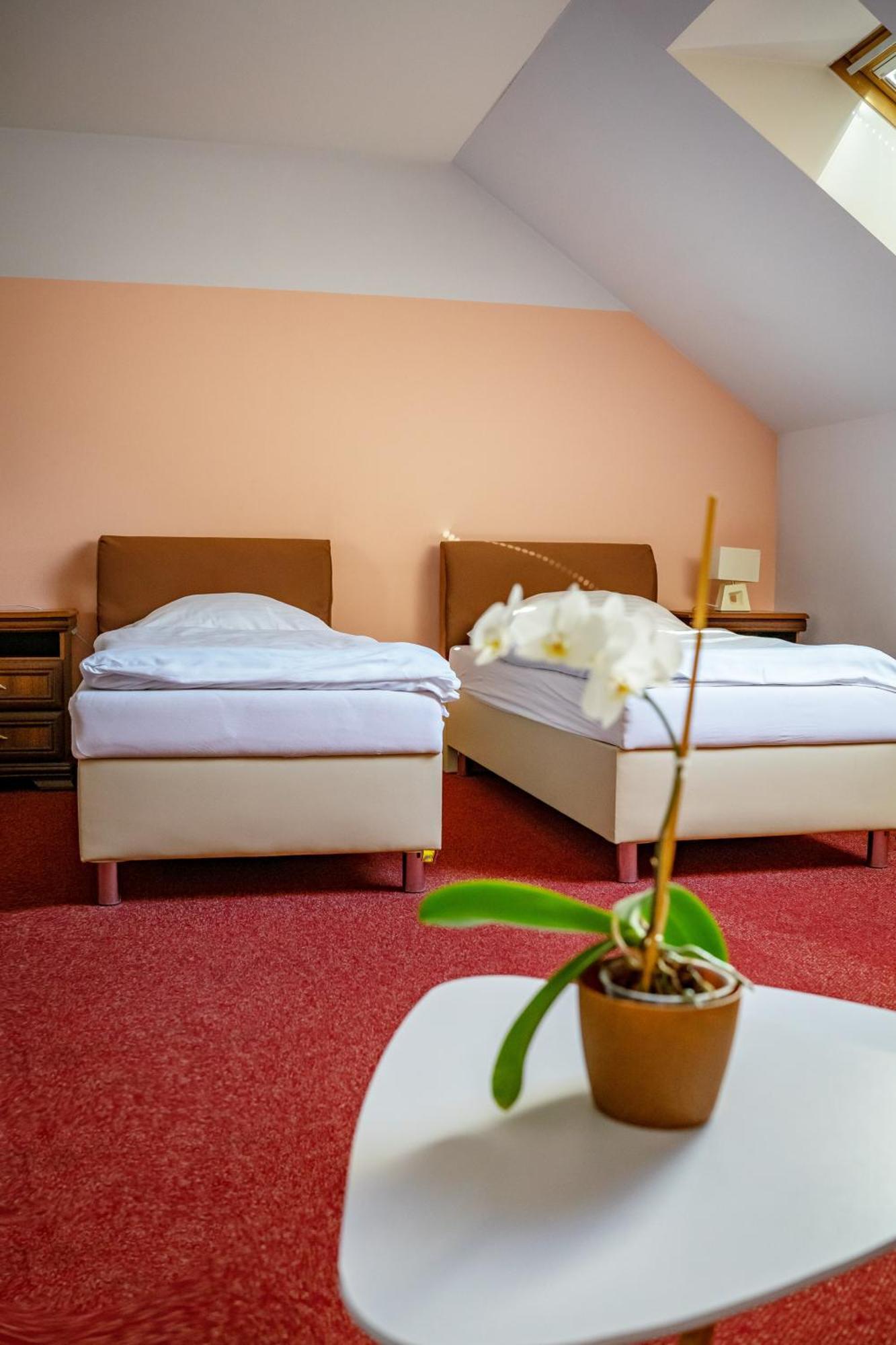 Hotel Ruzek Hranice  Luaran gambar